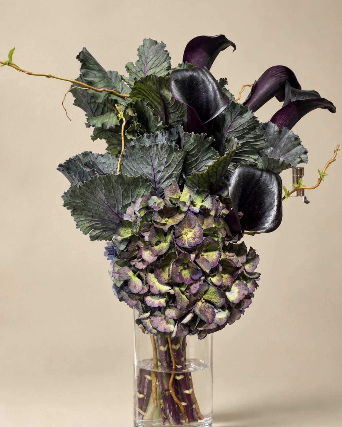 Graphic FLWR bouquet: ornamental cabbage, black calla lilies, green and purple hydrangea, willow branches
